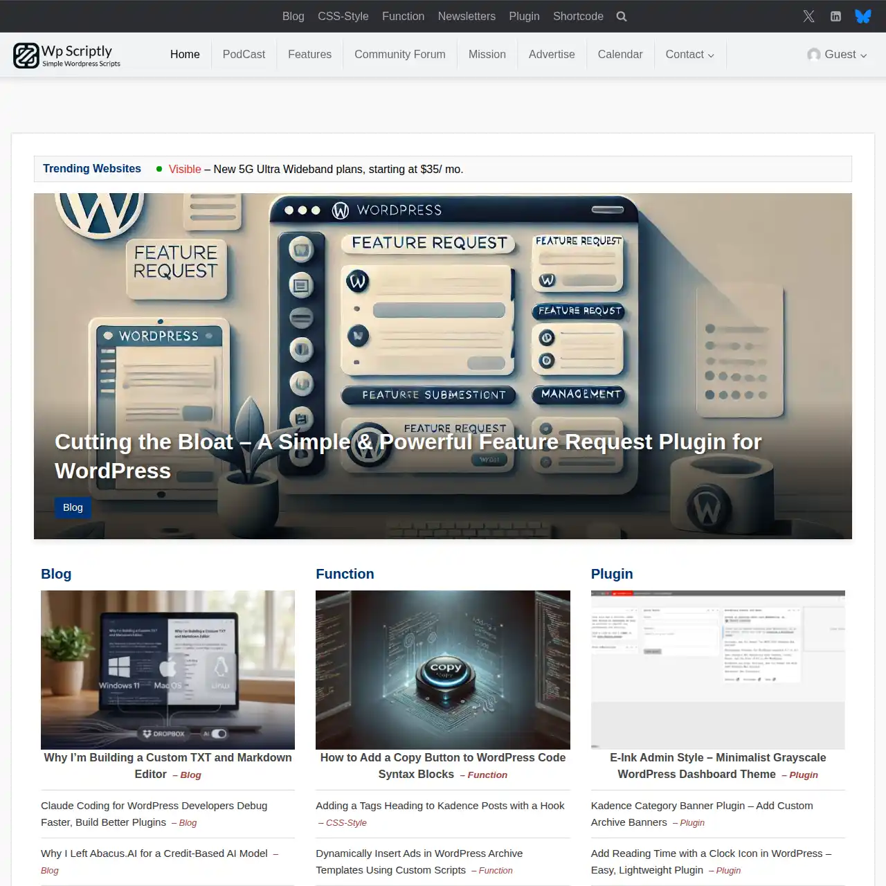 WPScriptly Website Preview